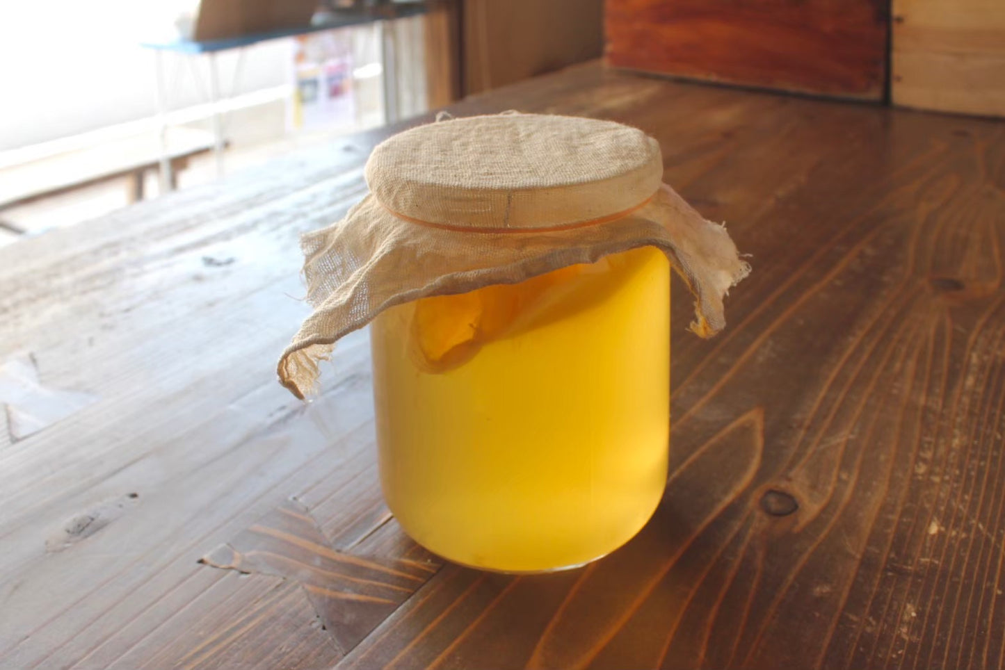 Kombucha Starter Video Course