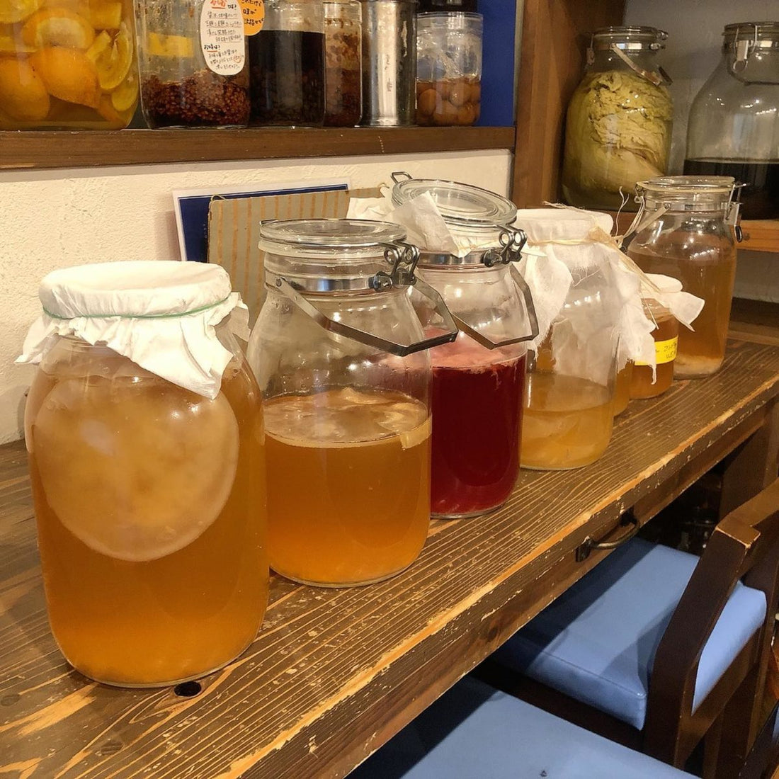 Kombucha Workshop - Recommendation to always have a homemade fermented drink in the kitchen
