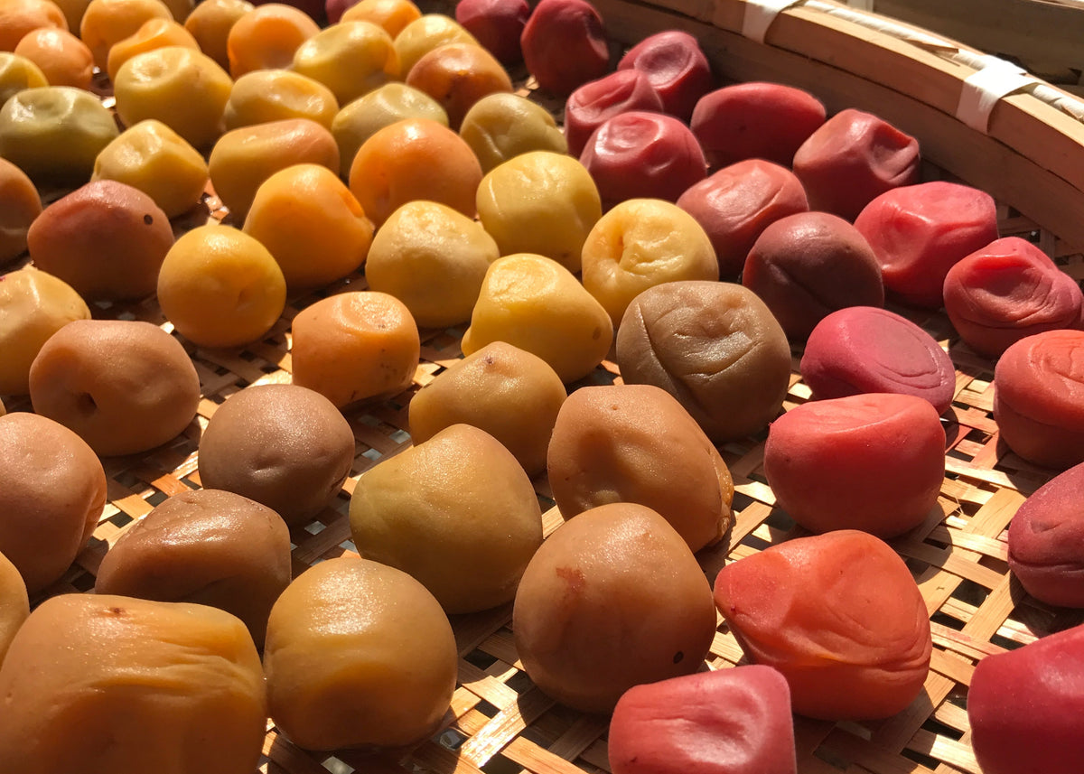 Private Fermentation Workshop at Kamoshika