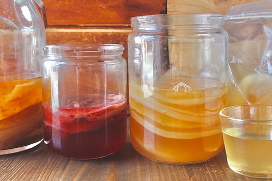 Kombucha Starter Video Course